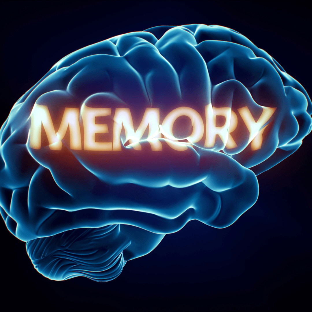 Memorie & Concentrare