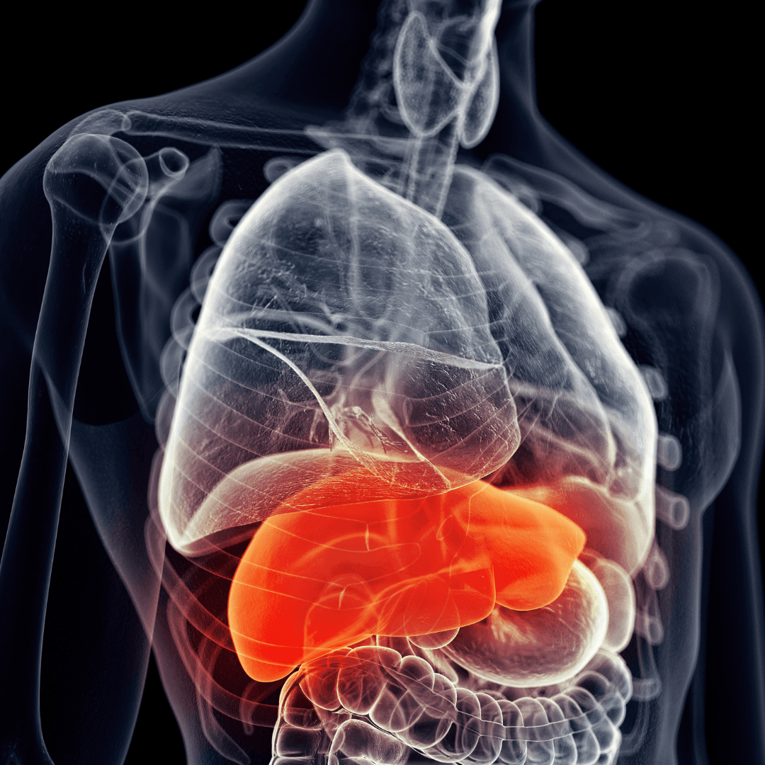 Sănătatea hepatică